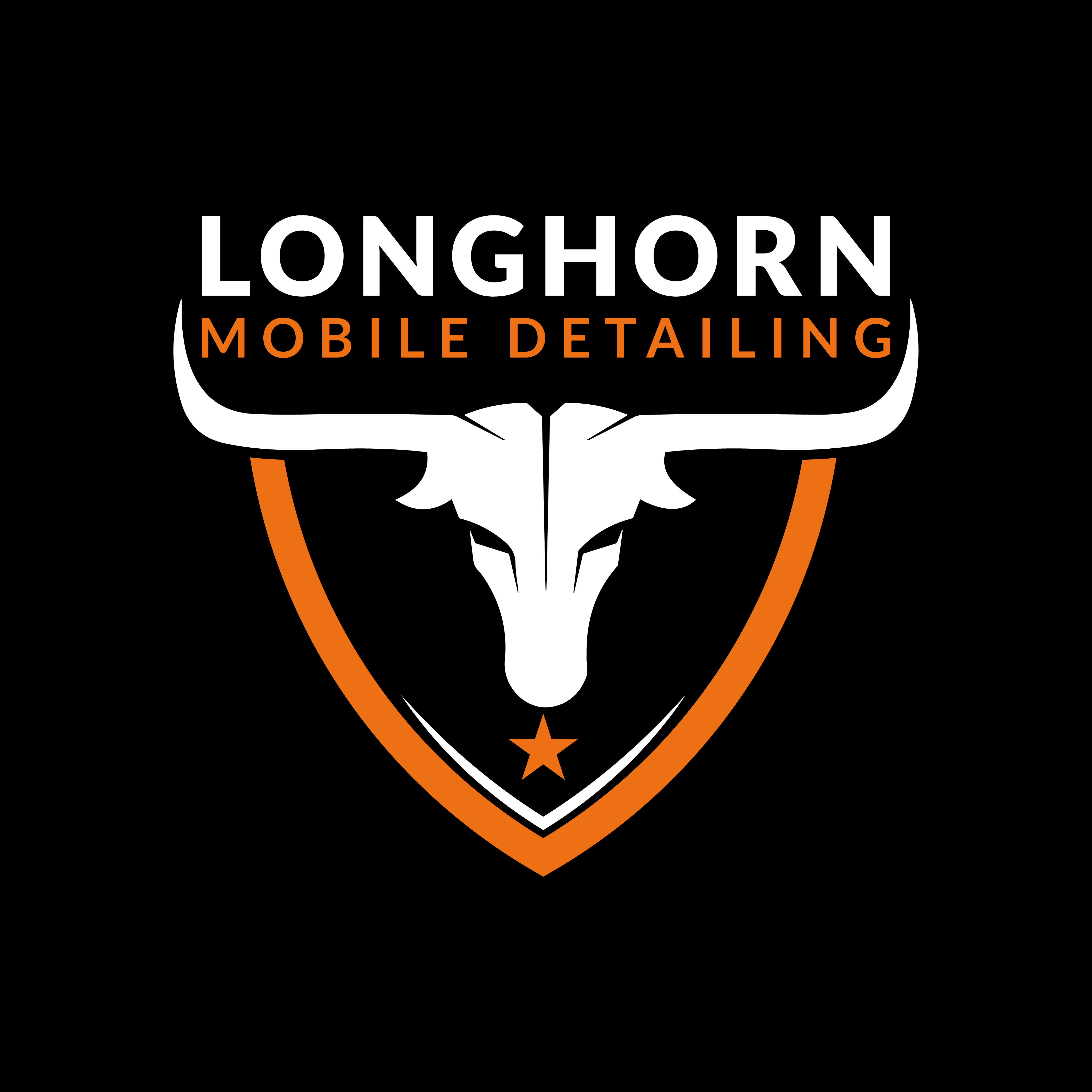 Longhorn Mobile Detailing
